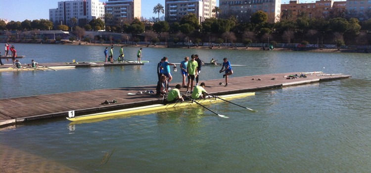 Andalucia Rowing Cup