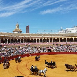Sevilla’s Fair